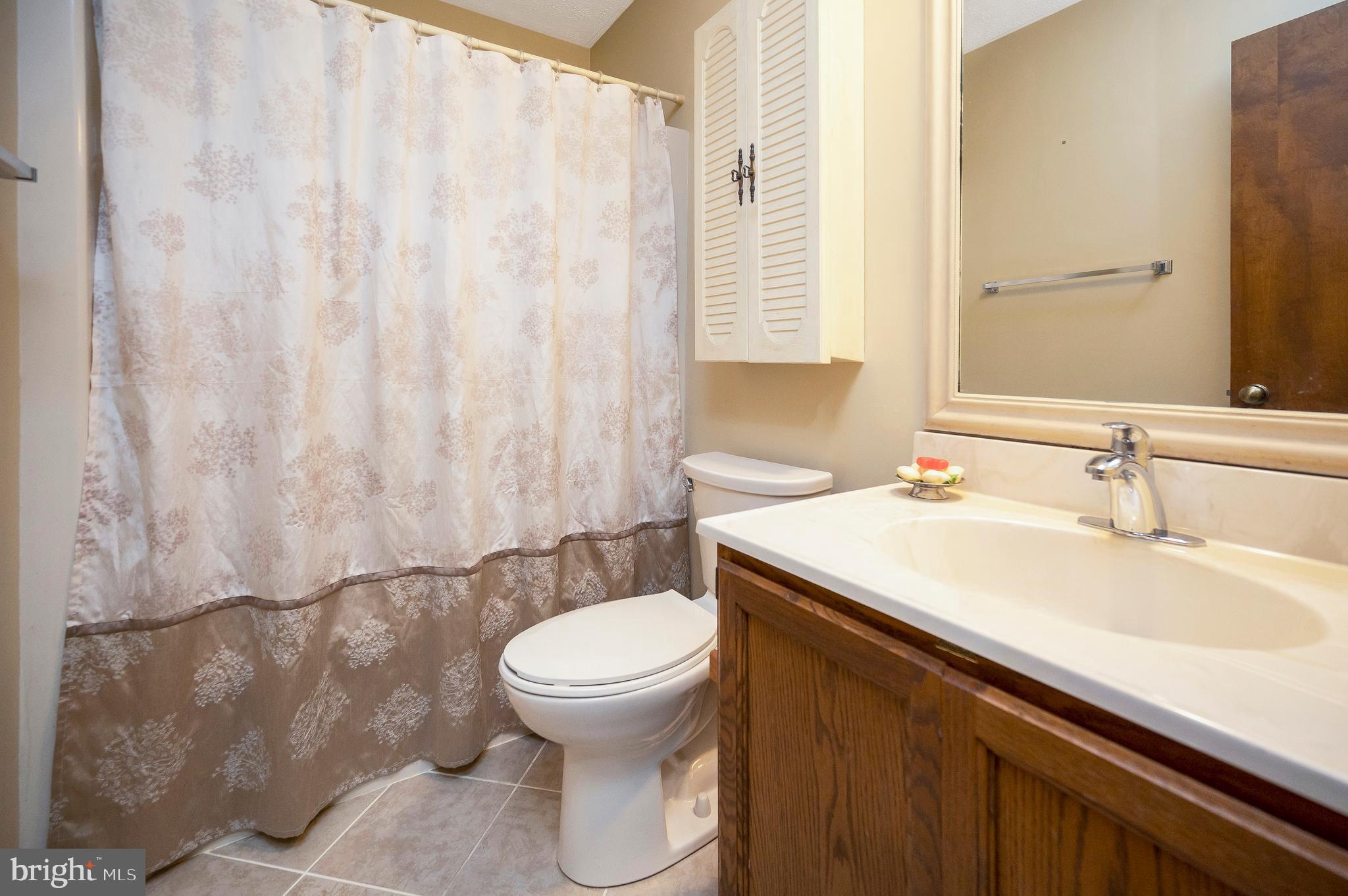 104 Appleview Court Locust Grove, VA 22508 - Photo 24 of 65 a bathroom with a sink and a toilet