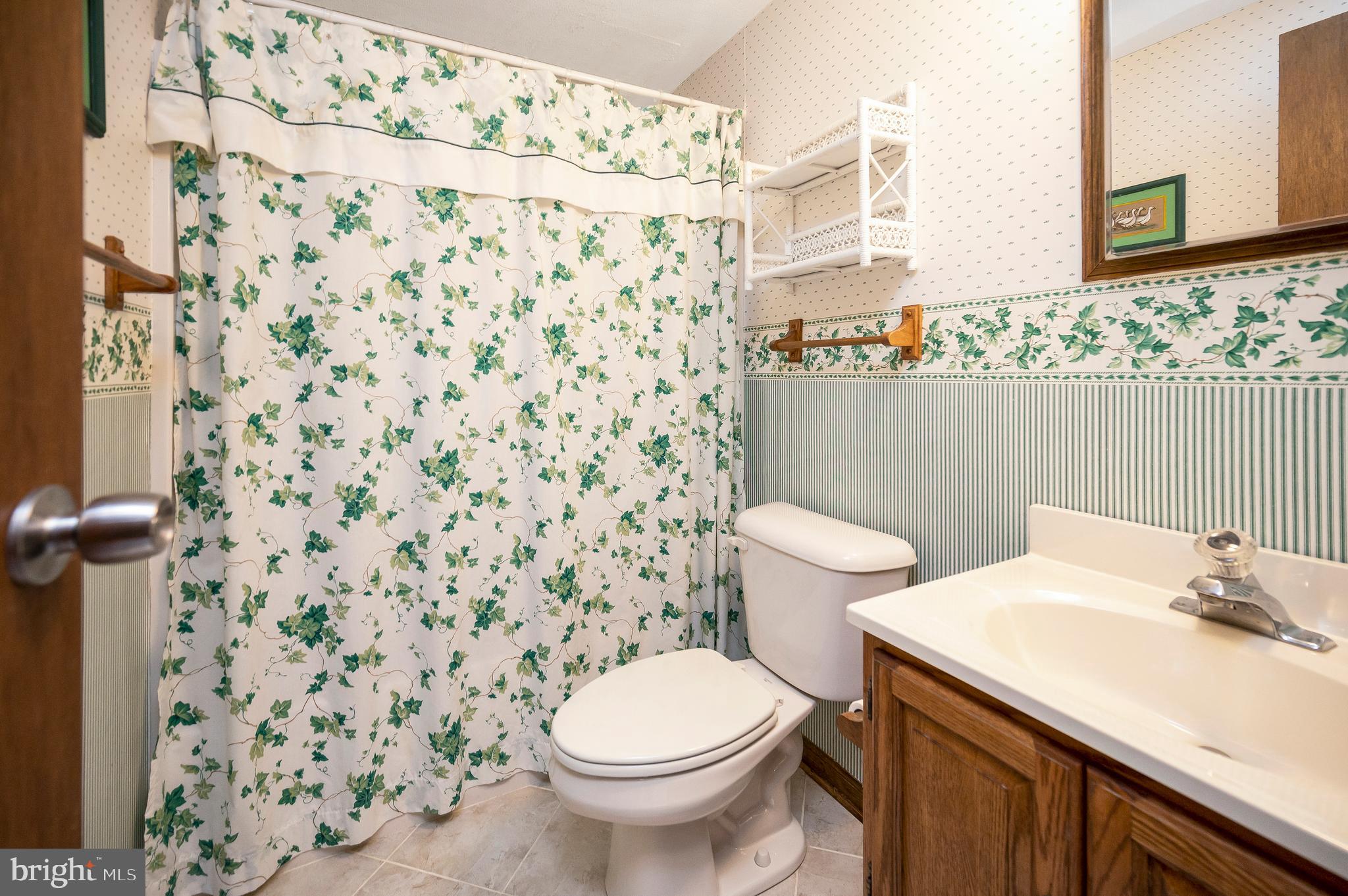 104 Appleview Court Locust Grove, VA 22508 - Photo 31 of 65 a bathroom with a sink and a toilet