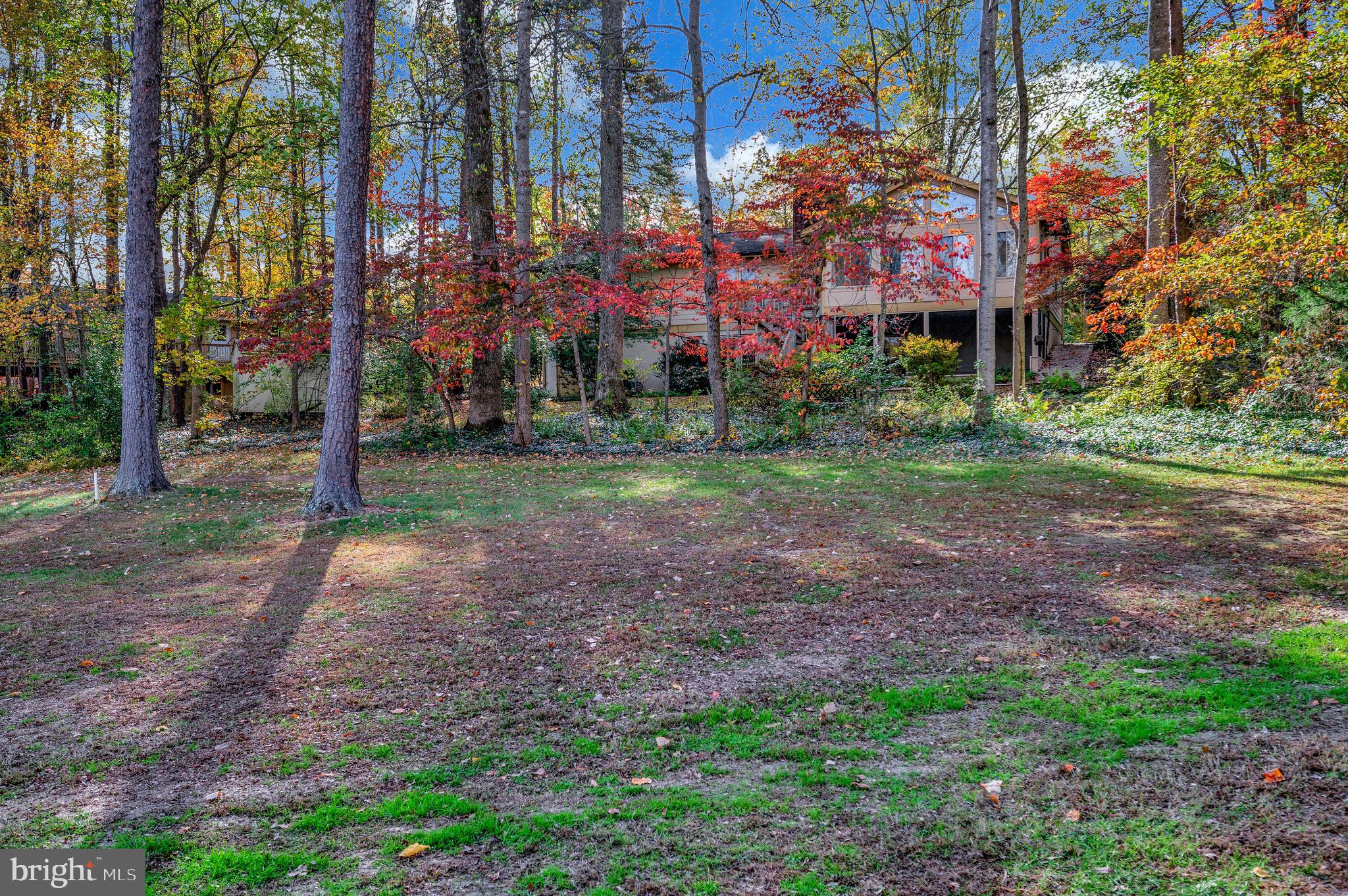 104 Appleview Court Locust Grove, VA 22508 - Photo 44 of 65 a view of a park with a house in the background