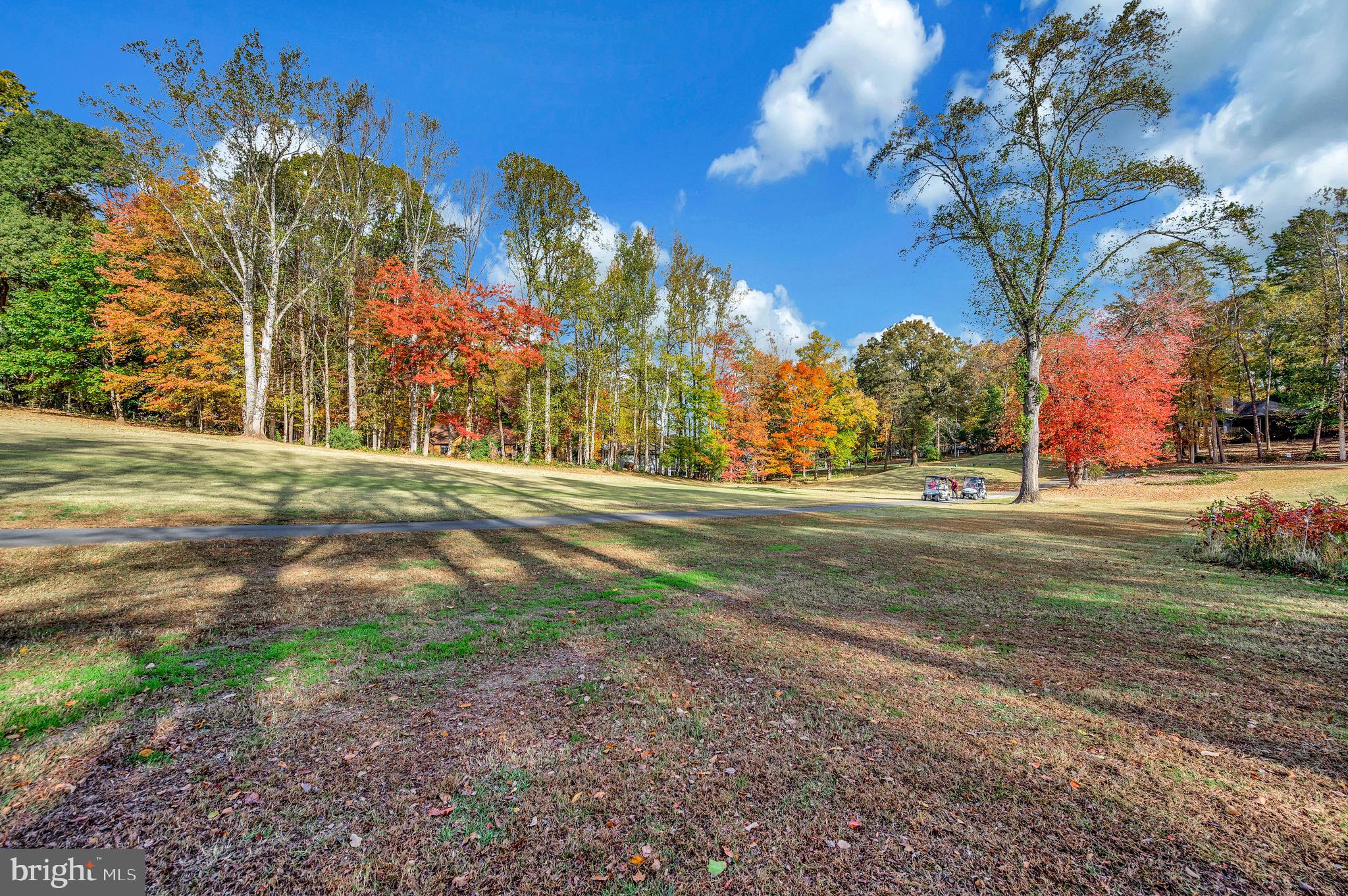 104 Appleview Court Locust Grove, VA 22508 - Photo 45 of 65 a view of a yard in front of a house