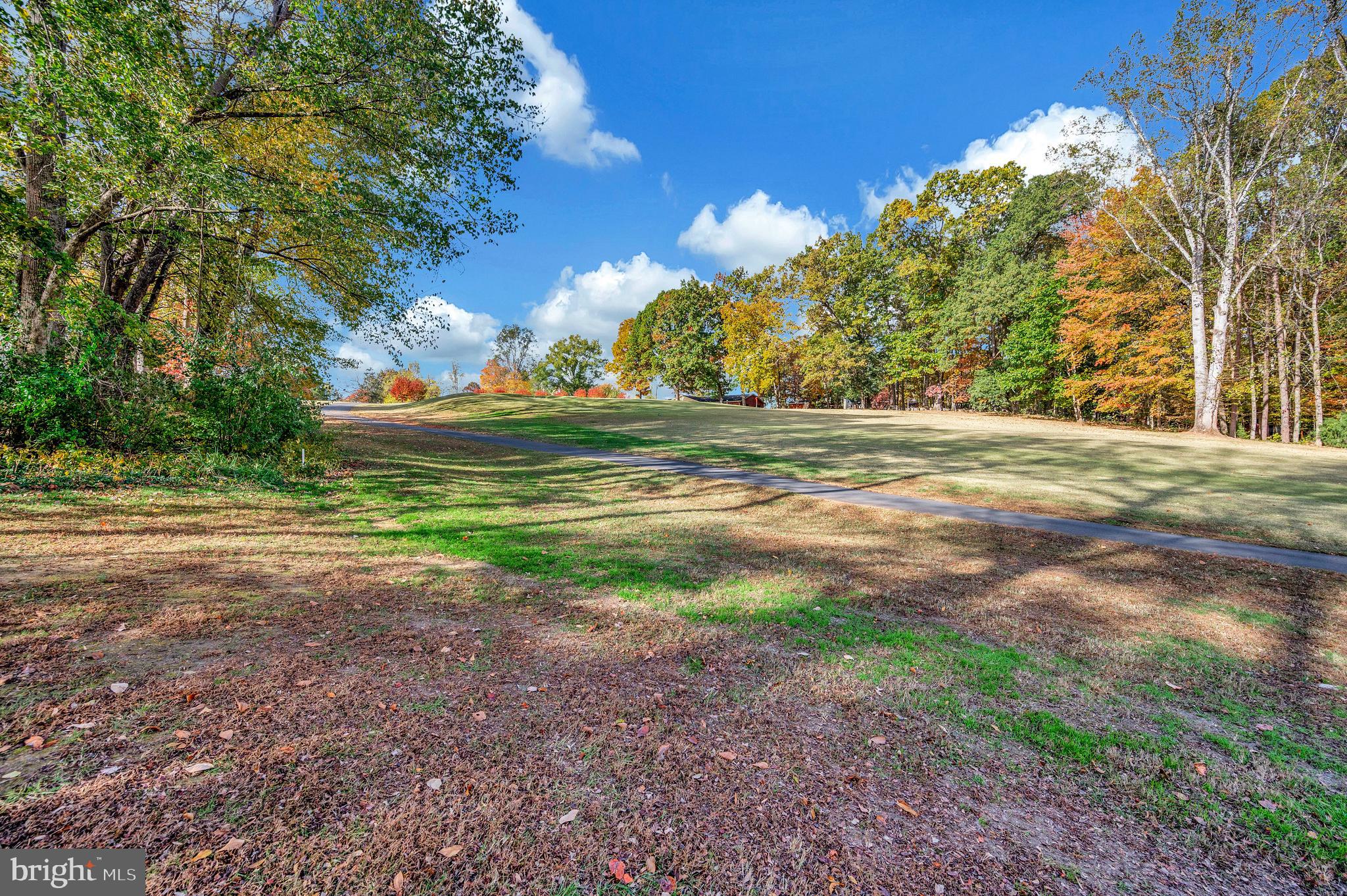 104 Appleview Court Locust Grove, VA 22508 - Photo 47 of 65 a view of a yard with large trees