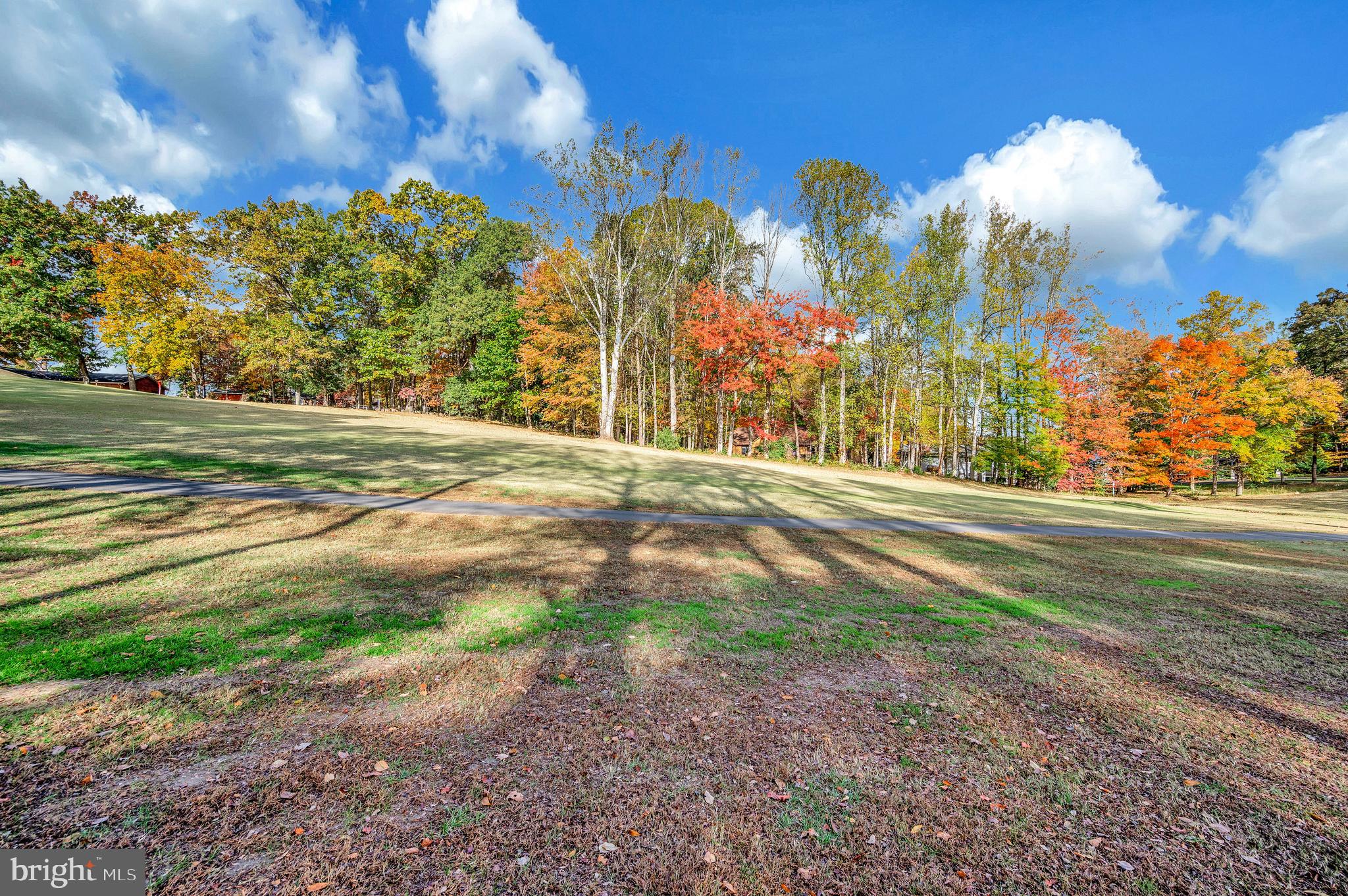 104 Appleview Court Locust Grove, VA 22508 - Photo 49 of 65 a view of a yard in front of a house with large trees