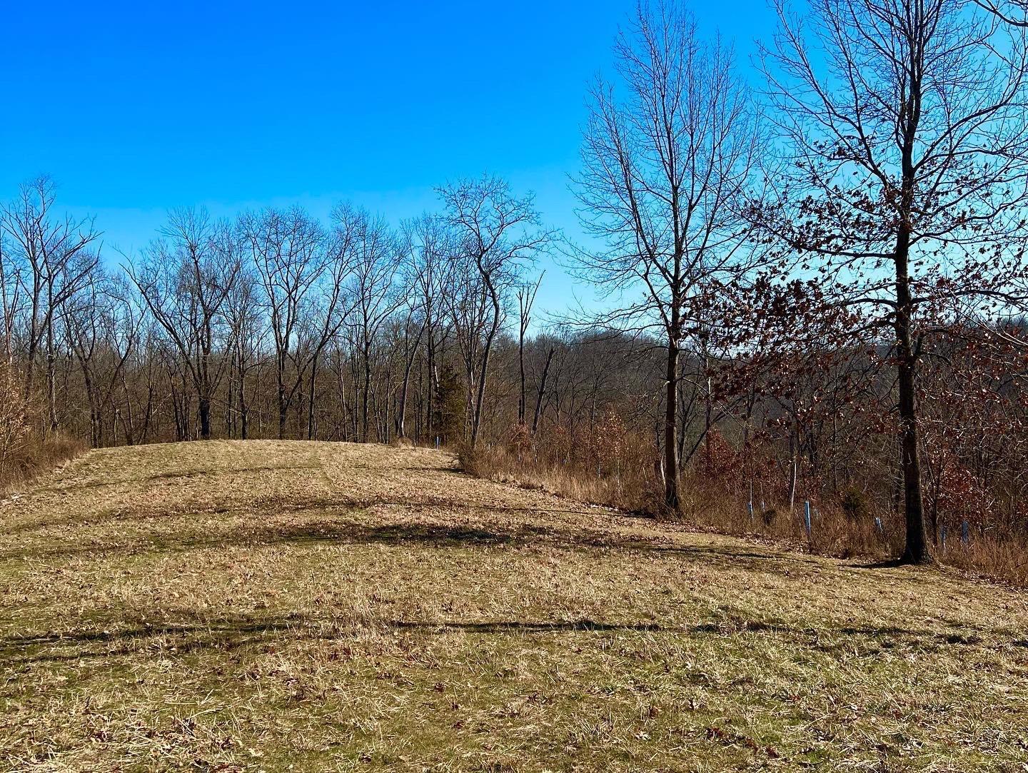 0 Balcony Hills Road Aberdeen, OH 45101 - Photo 16 of 50