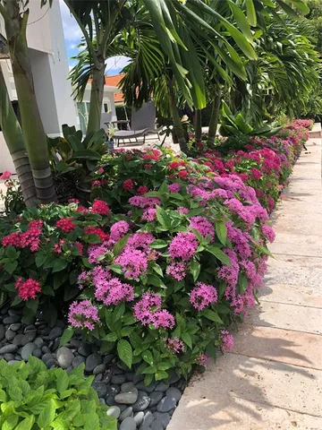 a view of a city with tall buildings