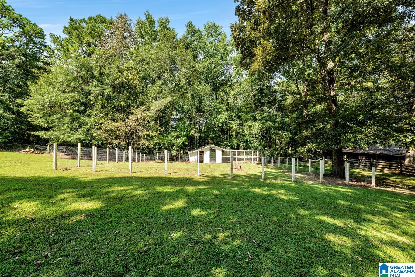 4884 Washington Valley Road Springville, AL 35146 - Photo 52 of 61