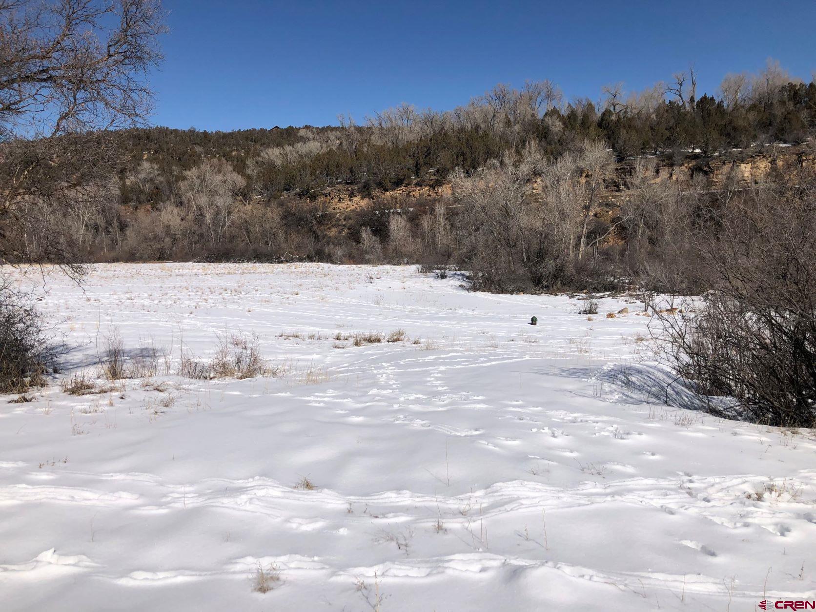 Tbd Conservancy Road Crawford, CO 81415 - Photo 3 of 12 Gallery Image 3
