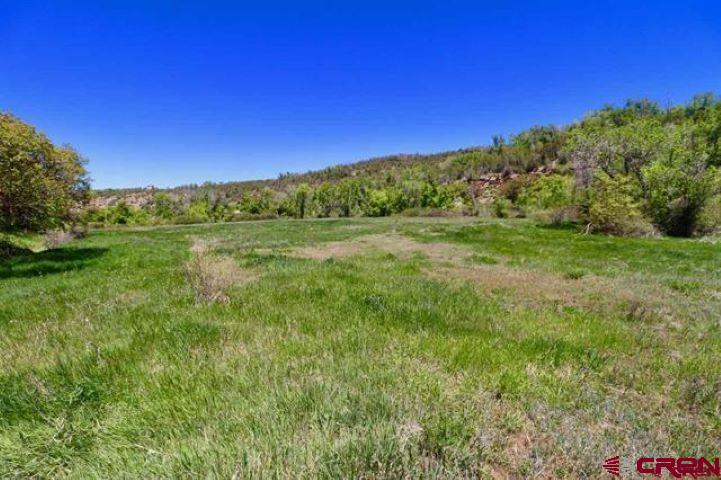 Tbd Conservancy Road Crawford, CO 81415 - Photo 6 of 12 Gallery Image 6
