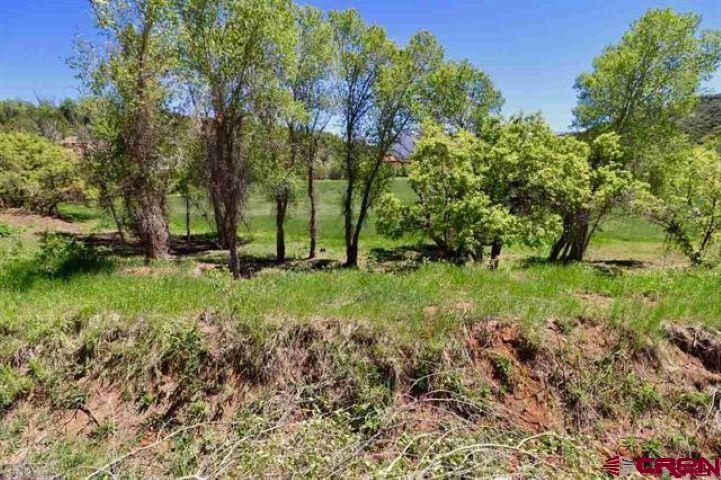 Tbd Conservancy Road Crawford, CO 81415 - Photo 8 of 12 Gallery Image 8