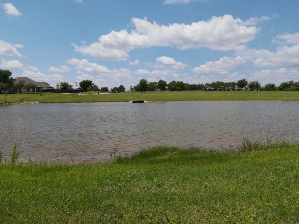 3322 Mariposa Ridge Crowley, TX 76036 - Photo 18 of 34 a view of a lake from a yard