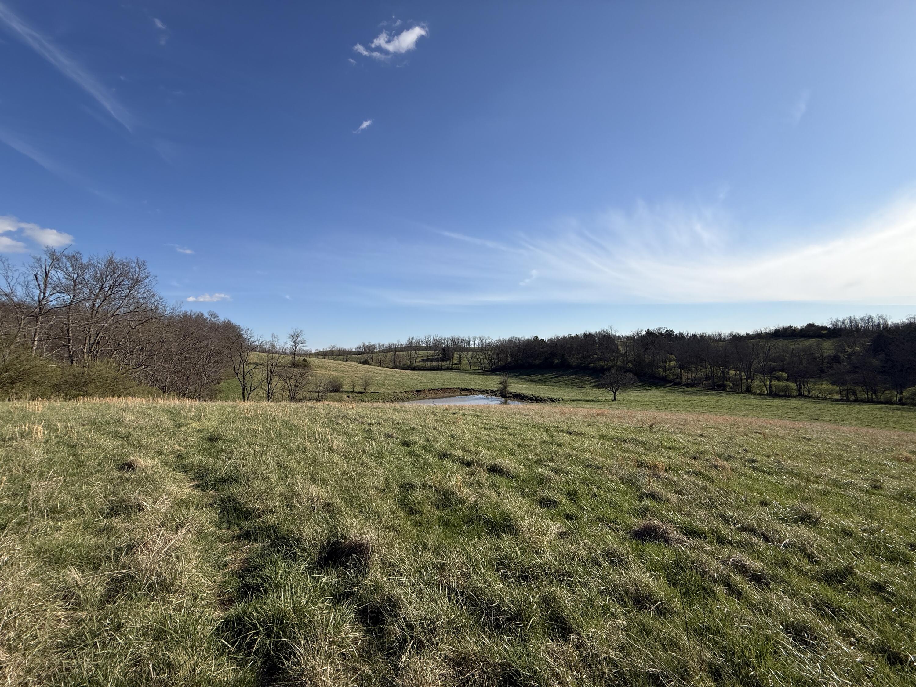 973 Levy Road Paris, KY 40361 - Photo 46 of 91 2