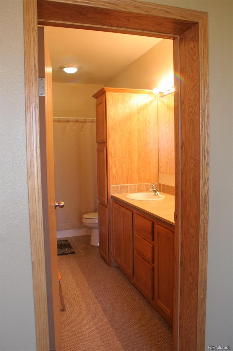 32275 Big Springs Road Yoder, CO 80864 - Photo 13 of 33