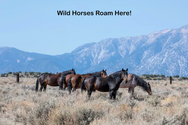 $395,000 | 330 Veris Court, Unit 1, Gardnerville, NV 89410