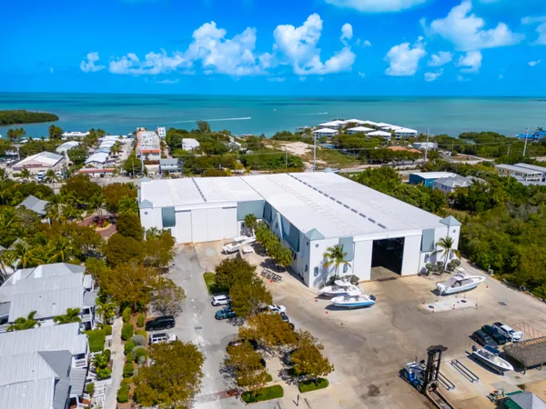 a view of park with large trees