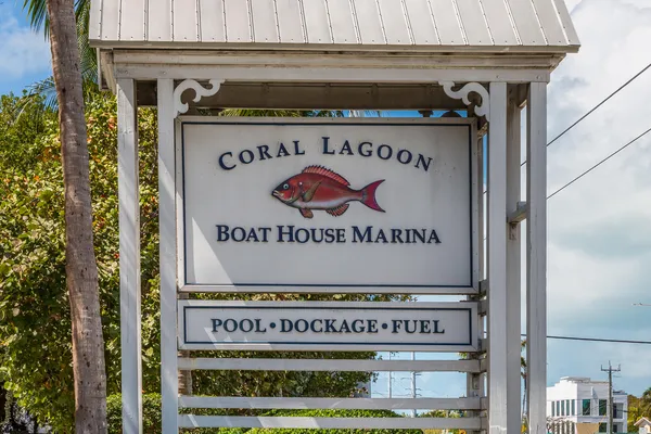 a view of a lake with a city