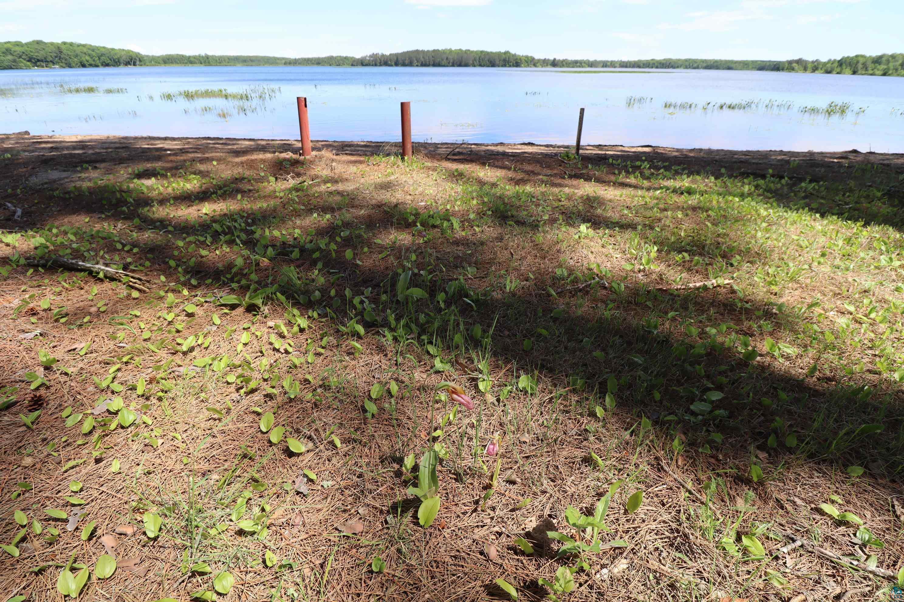 8767 South Lyman Lake Road South Range, WI 54874 - Photo 60 of 77 Lady's Slipper Grove