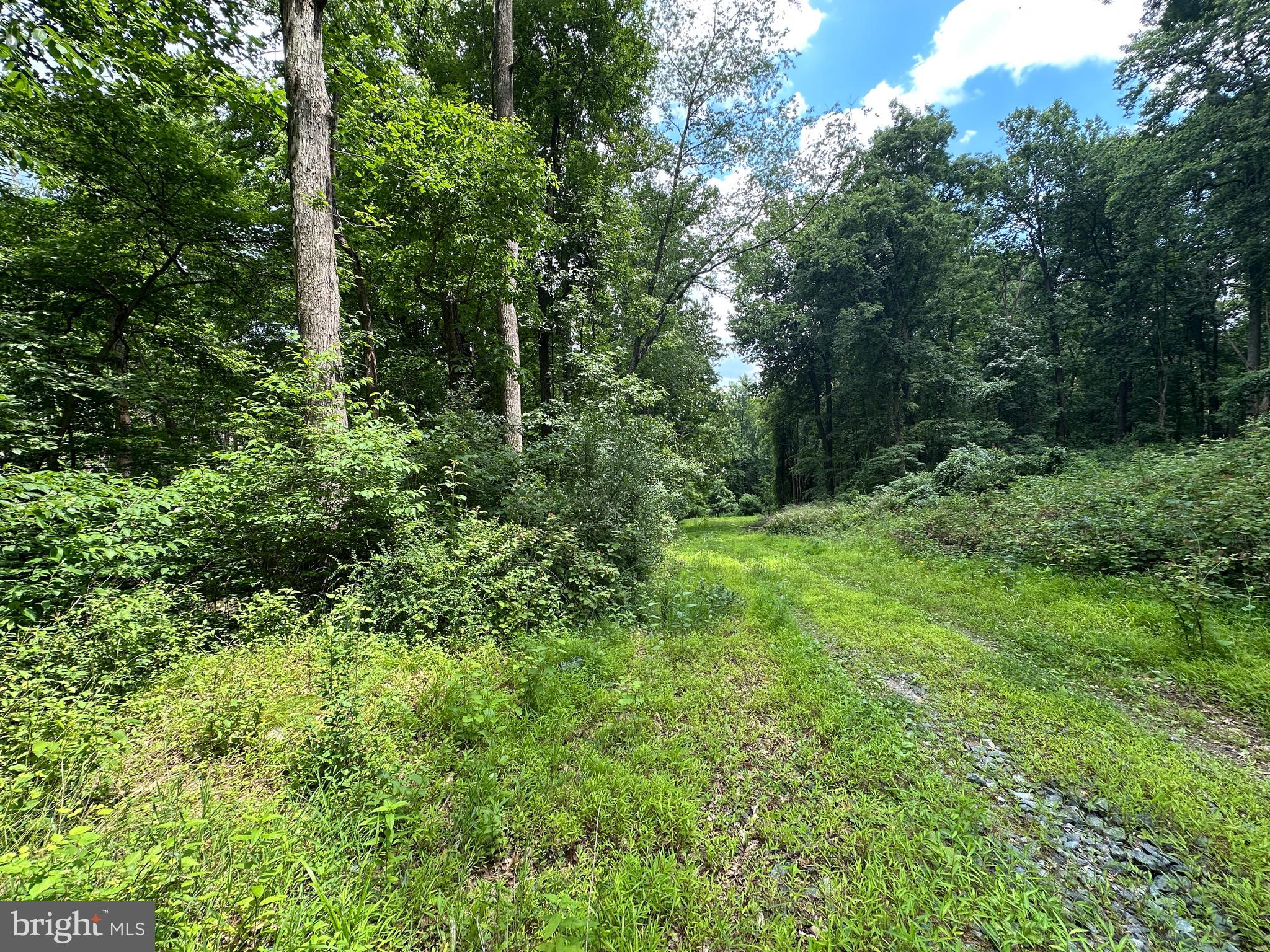 3 52 /- Acres Oak Ridge Trail Fairfield, PA 17320 - Photo 13 of 13