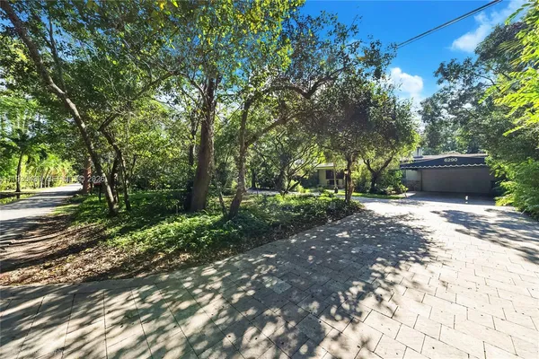 a view of a yard with plants and trees