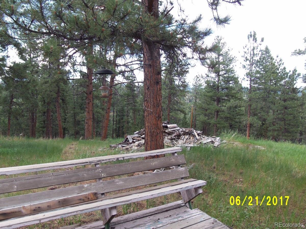 971 Mockingbird Trail Bailey, CO 80421 - Photo 16 of 32