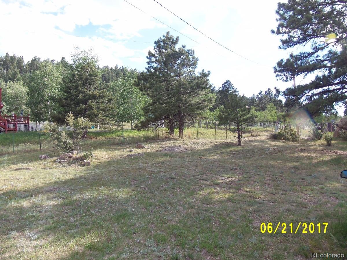 971 Mockingbird Trail Bailey, CO 80421 - Photo 24 of 32