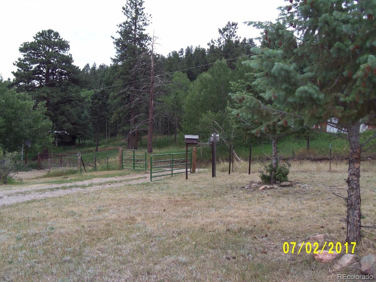 971 Mockingbird Trail Bailey, CO 80421 - Photo 32 of 32
