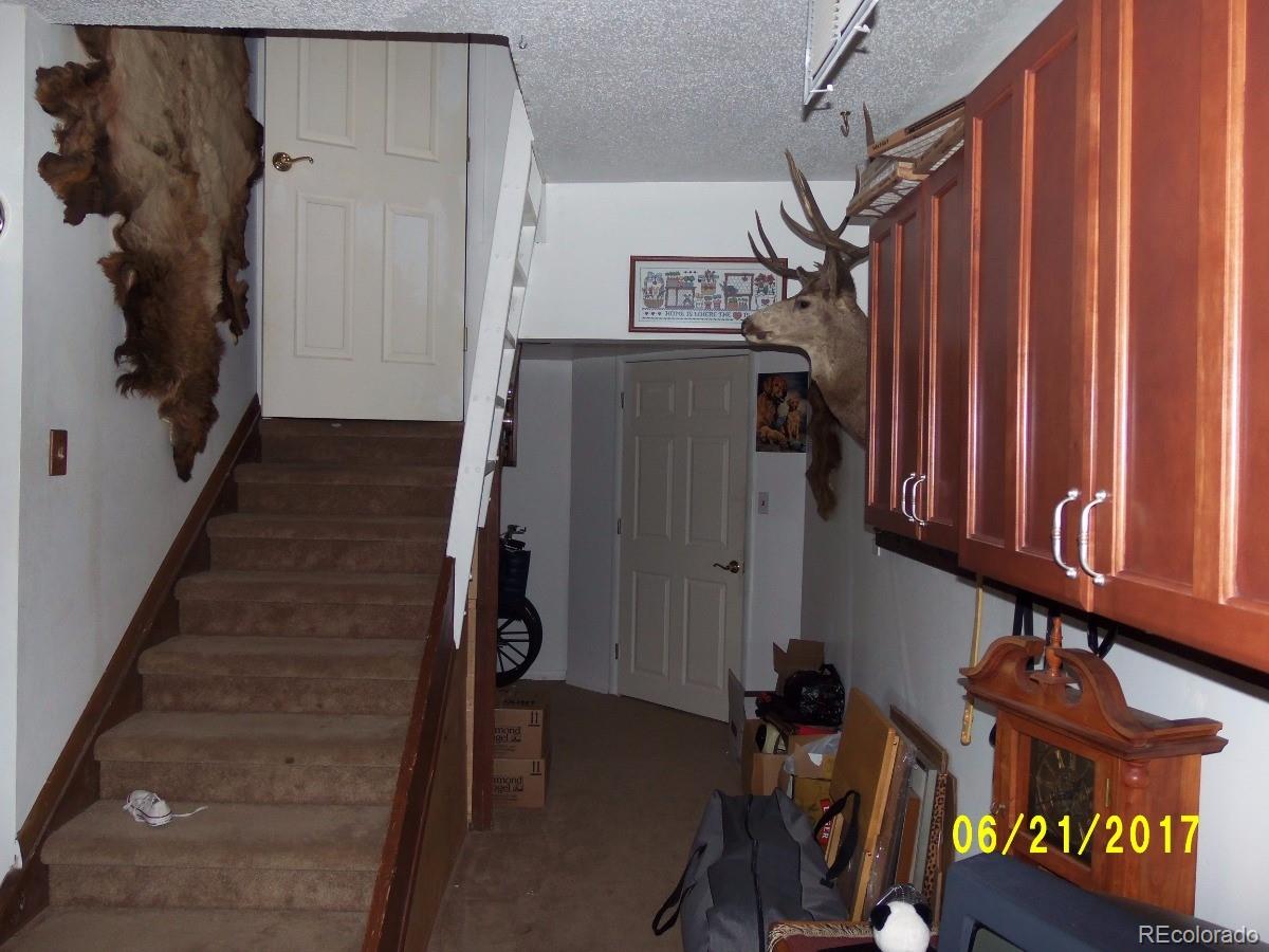 971 Mockingbird Trail Bailey, CO 80421 - Photo 10 of 32