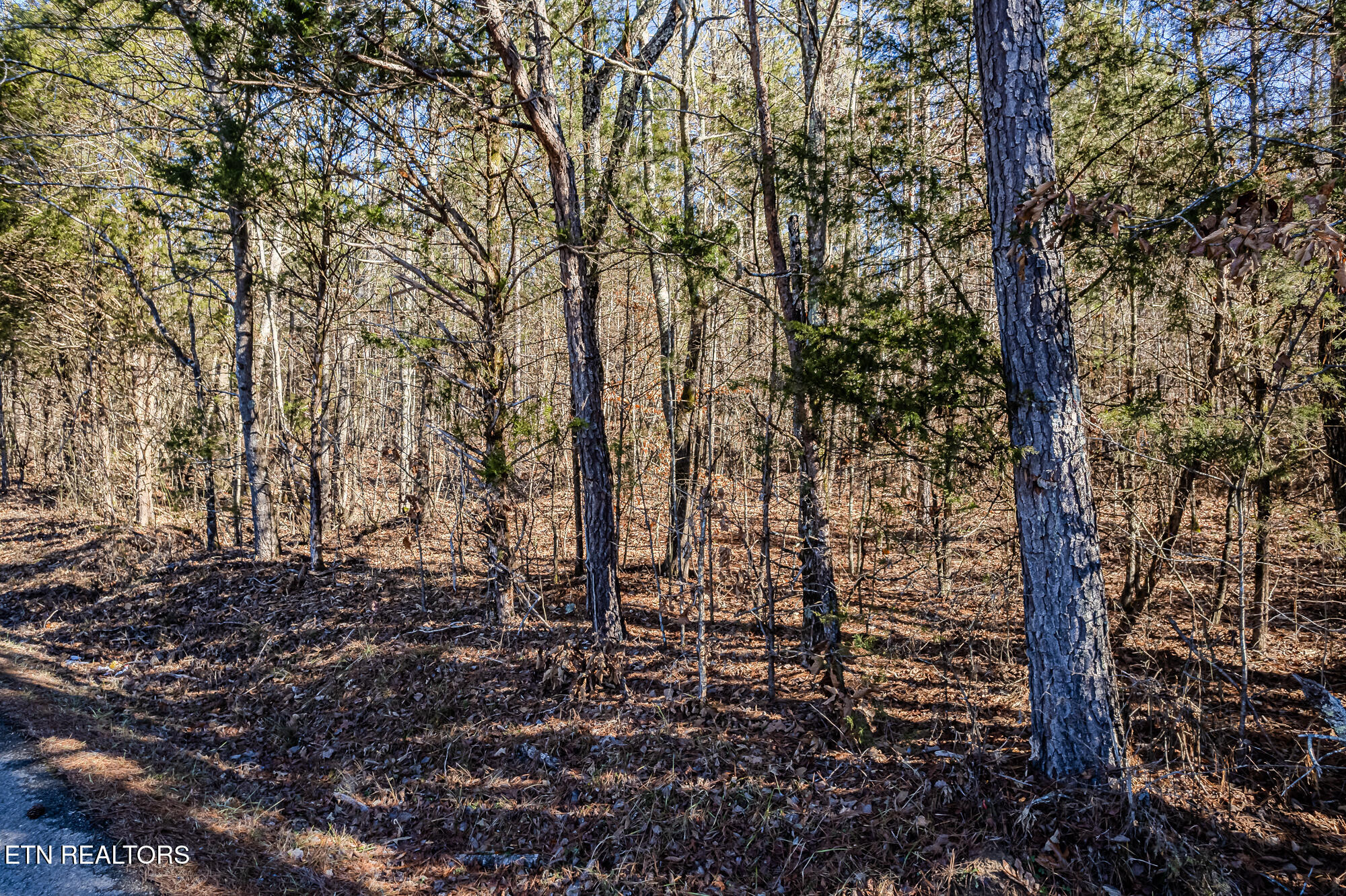 5-acres South NoPone Vly Road Decatur, TN 37322 - Photo 3 of 12 5 Acres off 5110 S.No Pone Valley Rd-2
