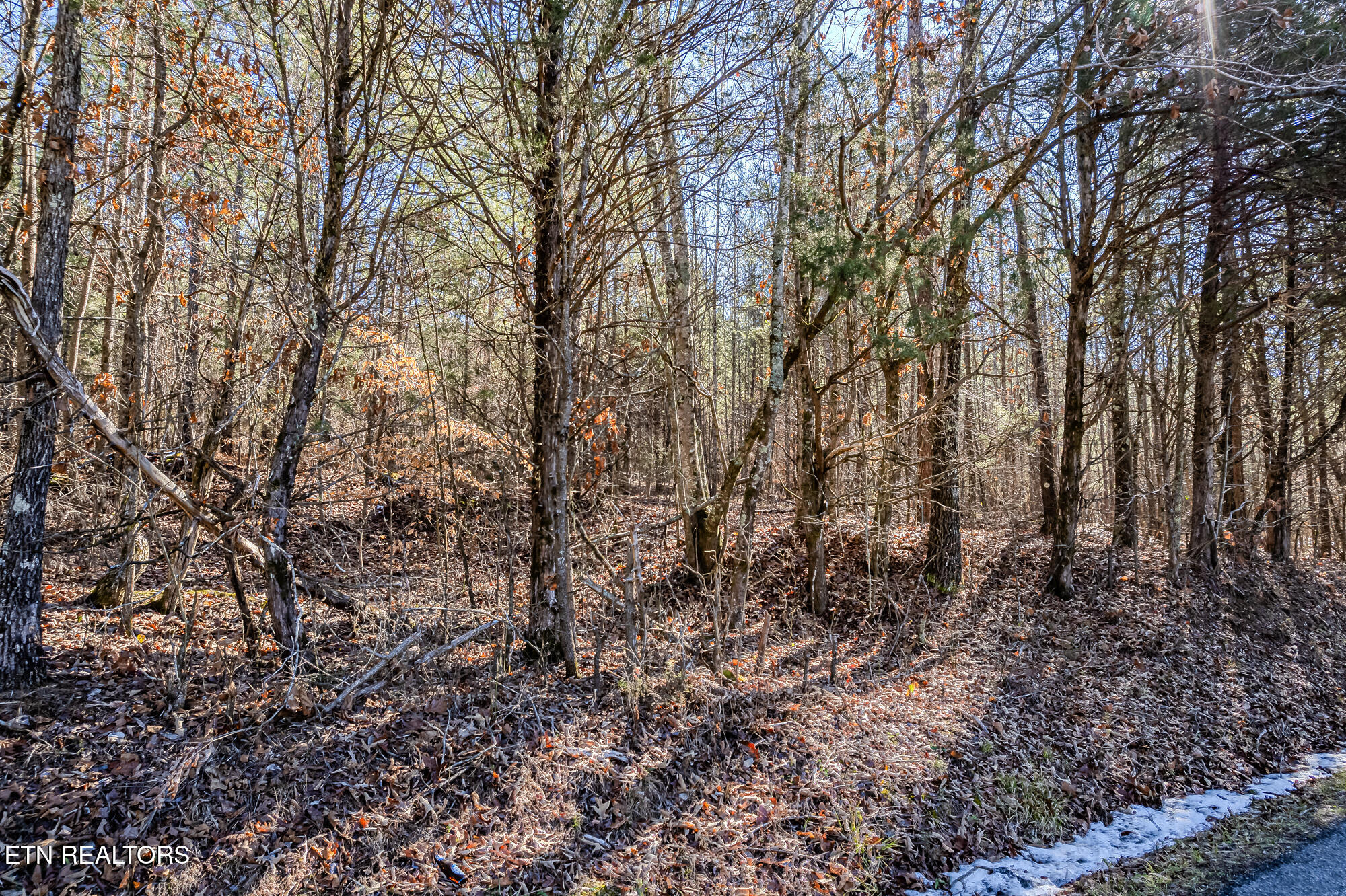 5-acres South NoPone Vly Road Decatur, TN 37322 - Photo 4 of 12 5 Acres off 5110 S.No Pone Valley Rd-1