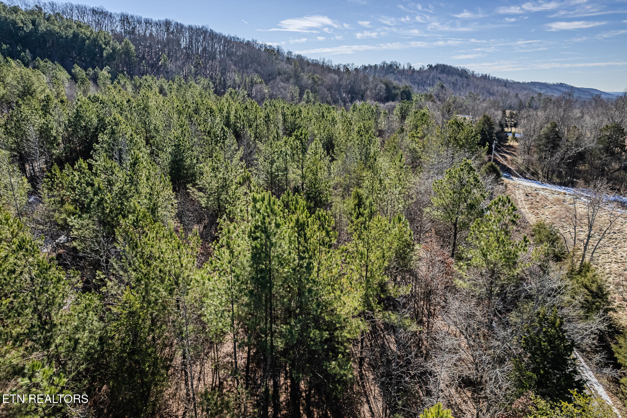 5-acres South NoPone Vly Road Decatur, TN 37322 - Photo 6 of 12 5 Acres off 5110 S.No Pone Valley Rd-4