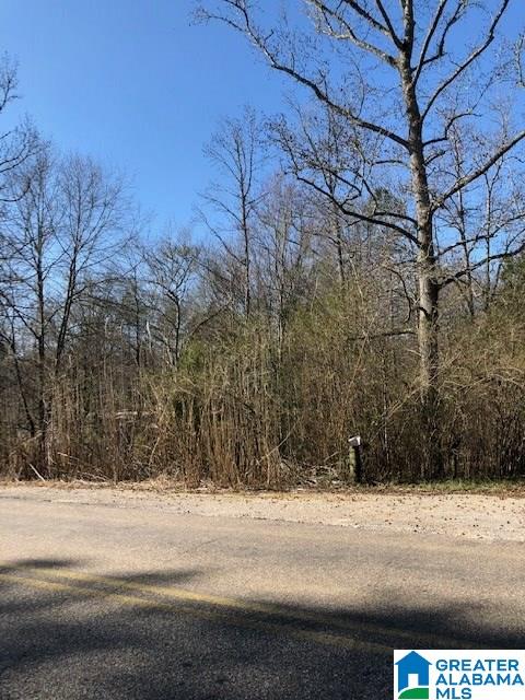 0 Blackjack Road, Unit 24 Trussville, AL 35173 - Photo 3 of 21