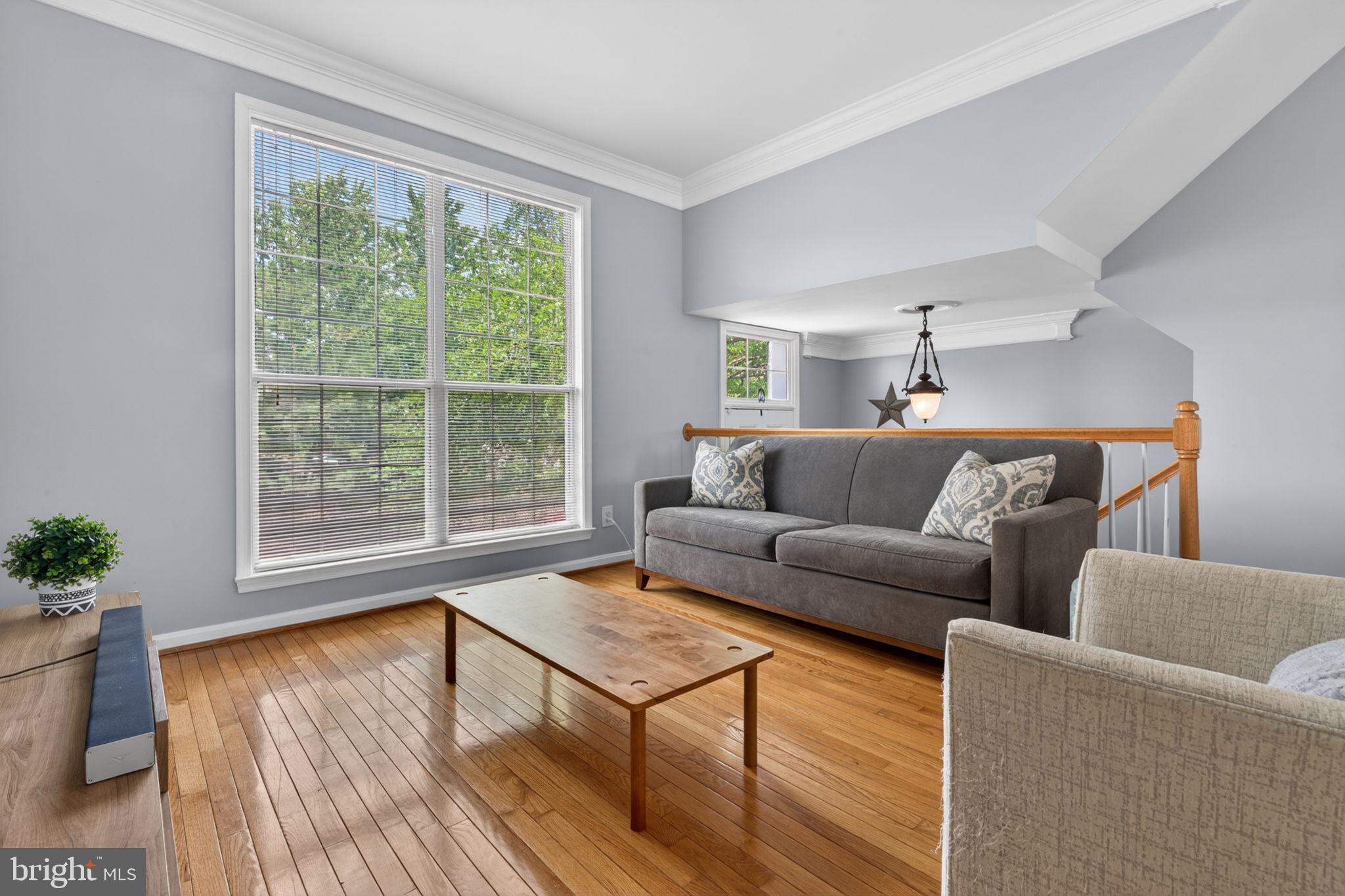 6006 Lincolnia Road Alexandria, VA 22312 - Photo 5 of 42 Bright and airy living space retreat.
