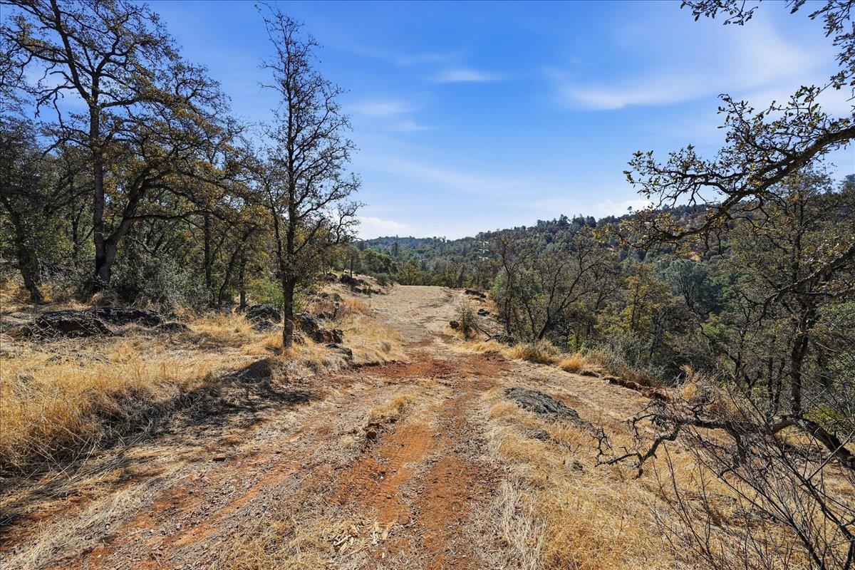 21330 Perimeter Road Grass Valley, CA 95949 - Photo 46 of 63 Gallery Image 46