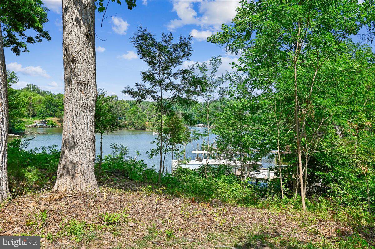 2700 Falling Timber Trail Edgewater, MD 21037 - Photo 74 of 89 a view of yard with green space