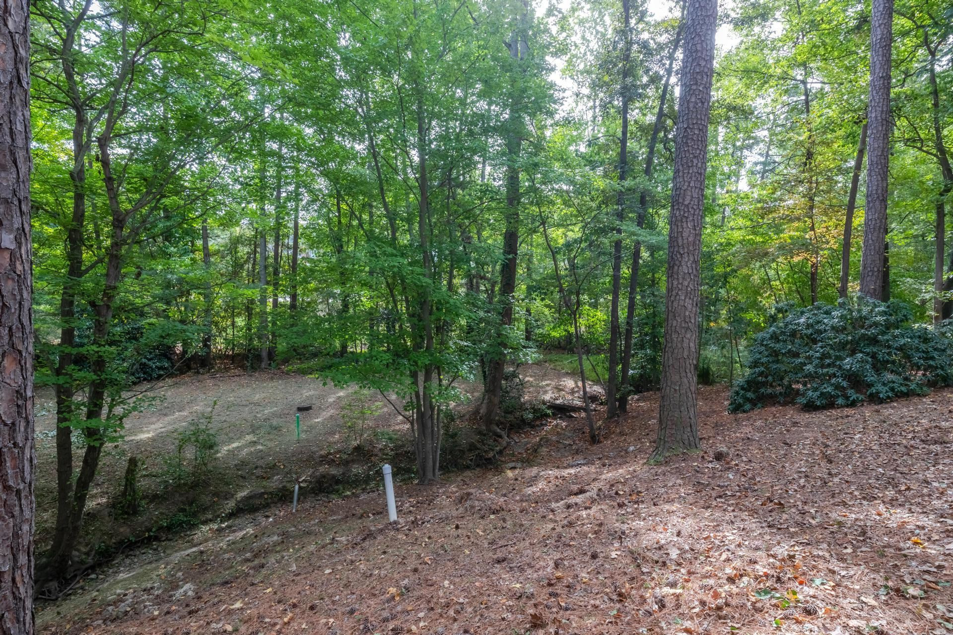 1416 Princess Anne Road Cary, NC 27513 - Photo 54 of 59 Photo 54