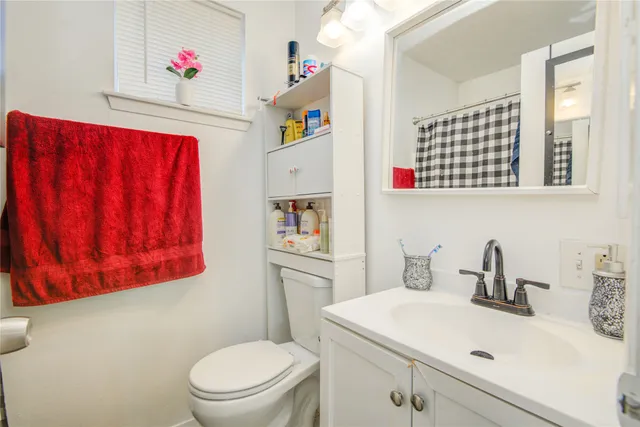 a bathroom with a sink a toilet and a mirror