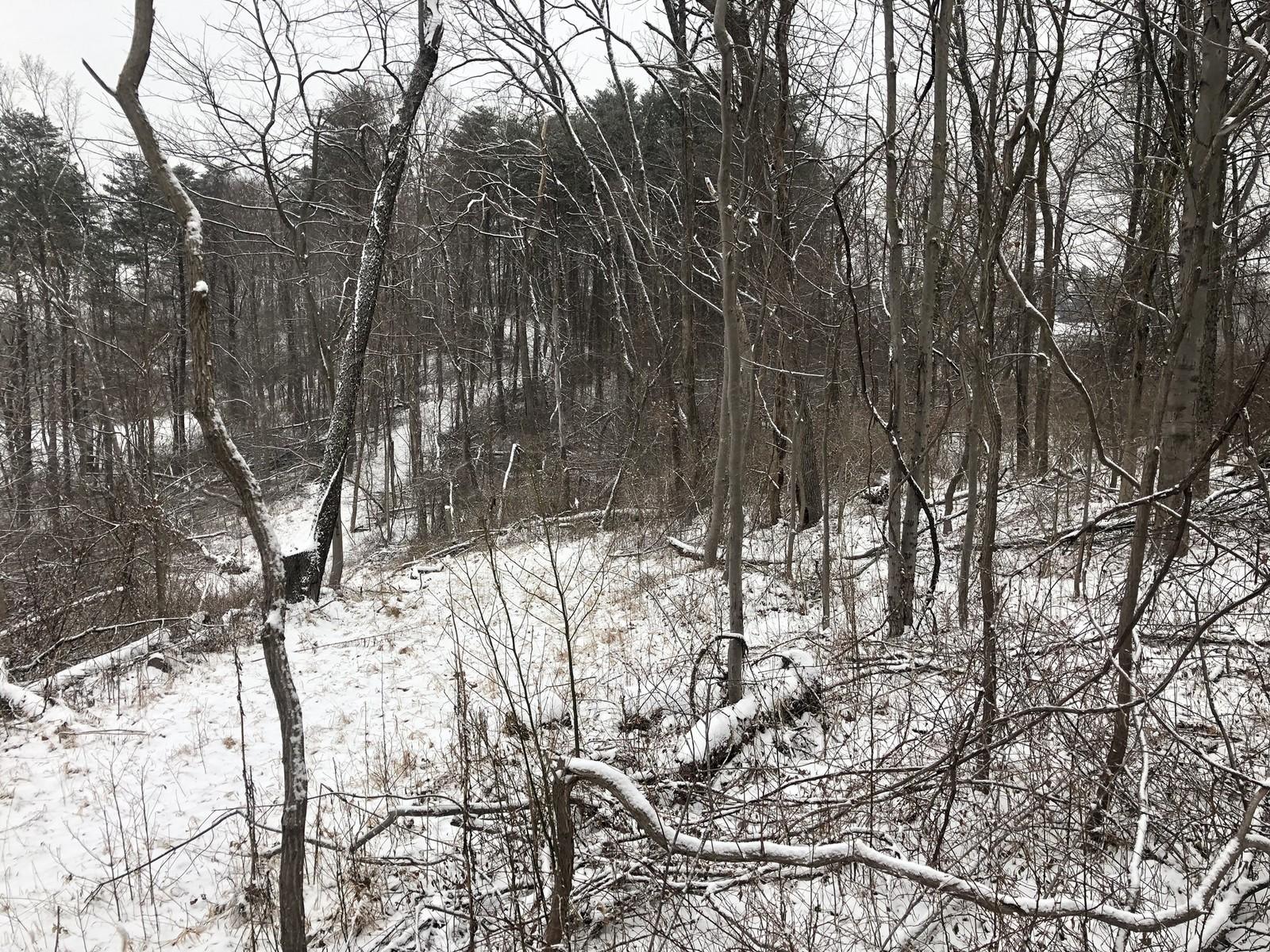 0 BIS Road Southwest, Unit LOT 3 Lancaster, OH 43130 - Photo 4 of 9