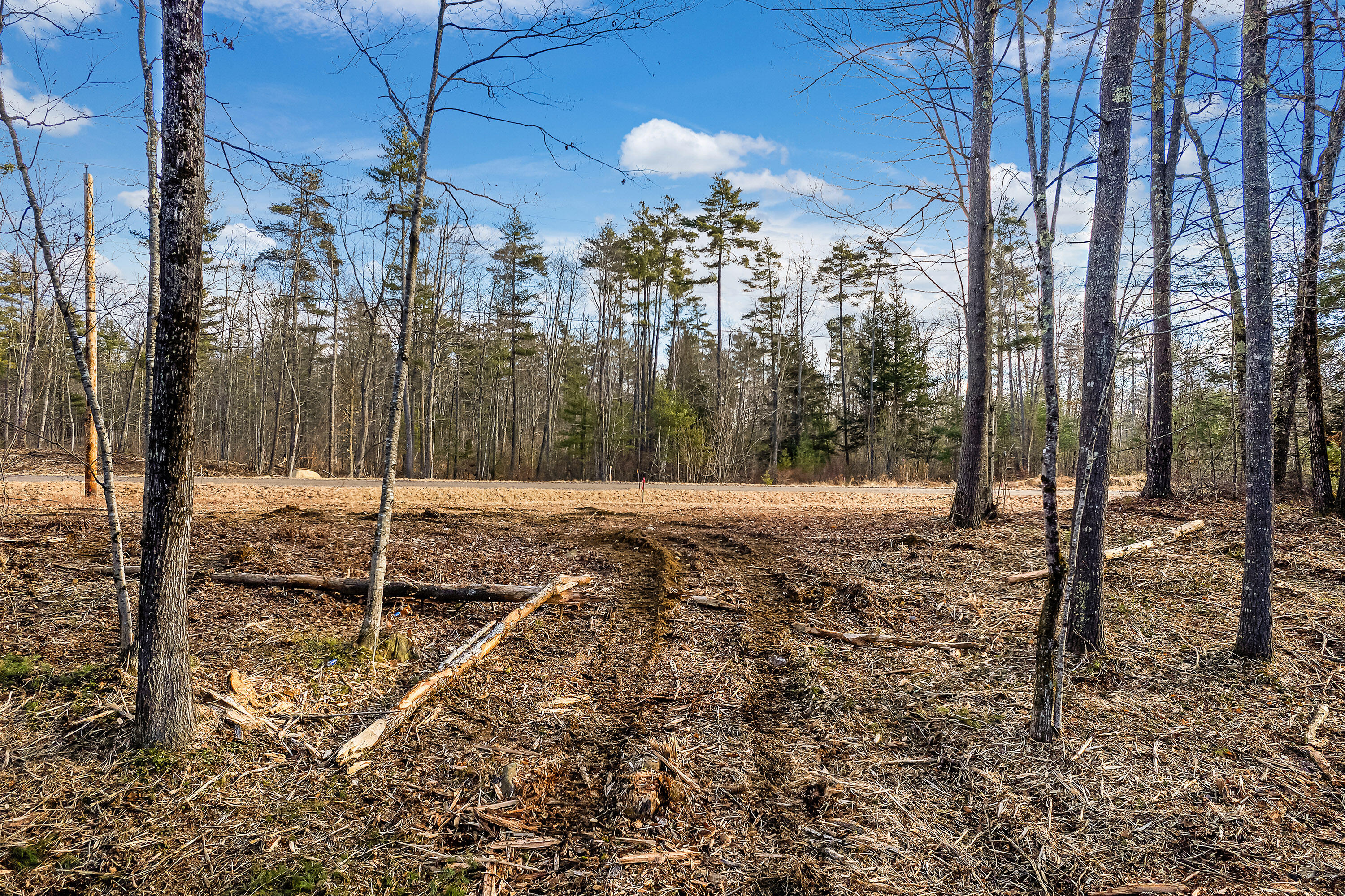 Tbd Ali Pond Road, Unit LOT 5 Berwick, ME 03901 - Photo 8 of 18 Lot 5 Woodland Pond, Berwick