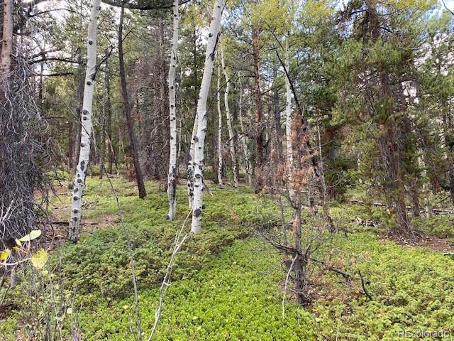 N001028 N001028 Central City Co  