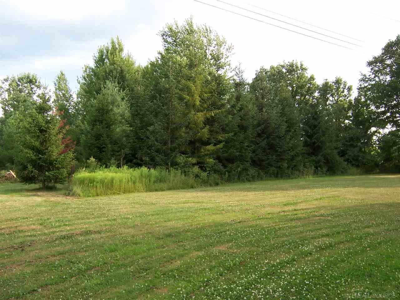 12115 Bryce Road Emmett, MI 48022 - Photo 26 of 26 31298707-25.JPG