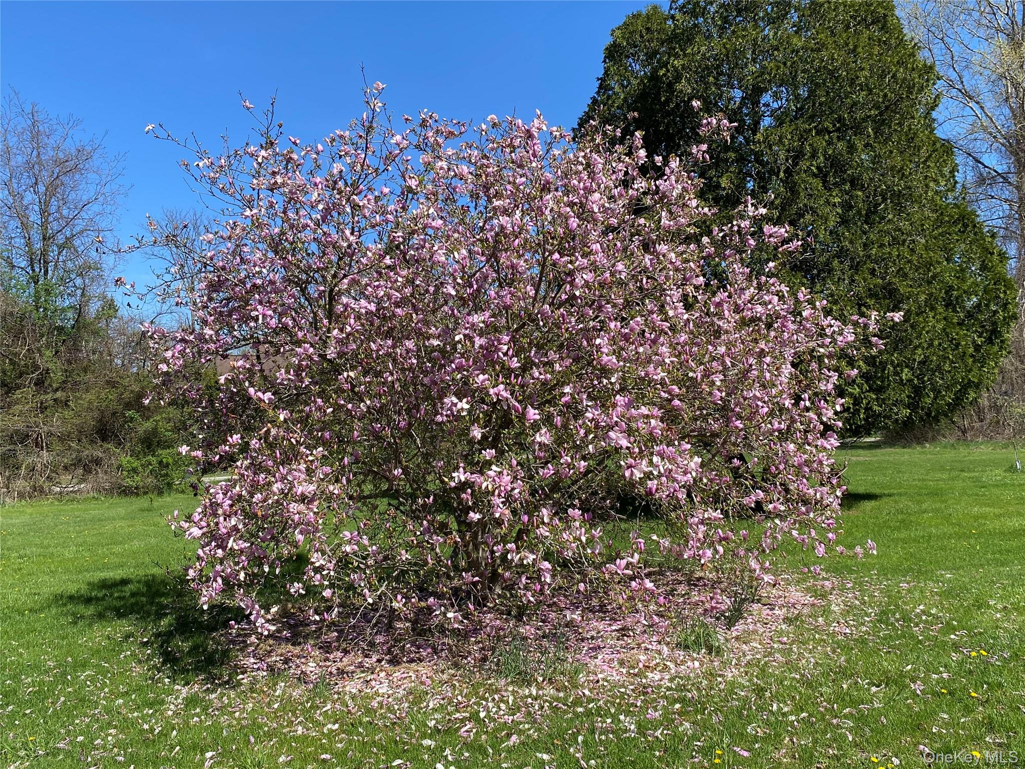 14 Harrigan Road Hopewell Junction, NY 12533 - Photo 35 of 45