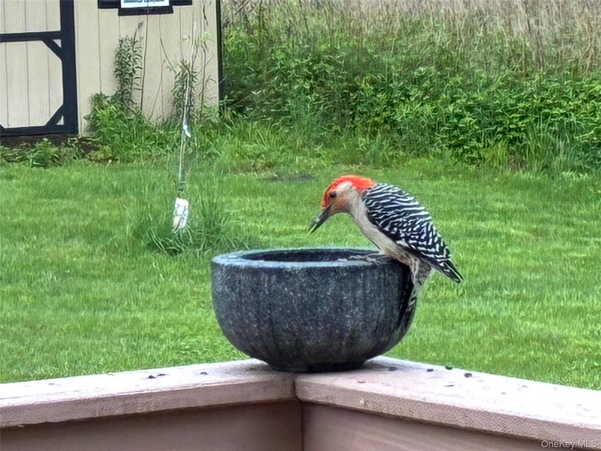 14 Harrigan Road Hopewell Junction, NY 12533 - Photo 36 of 45