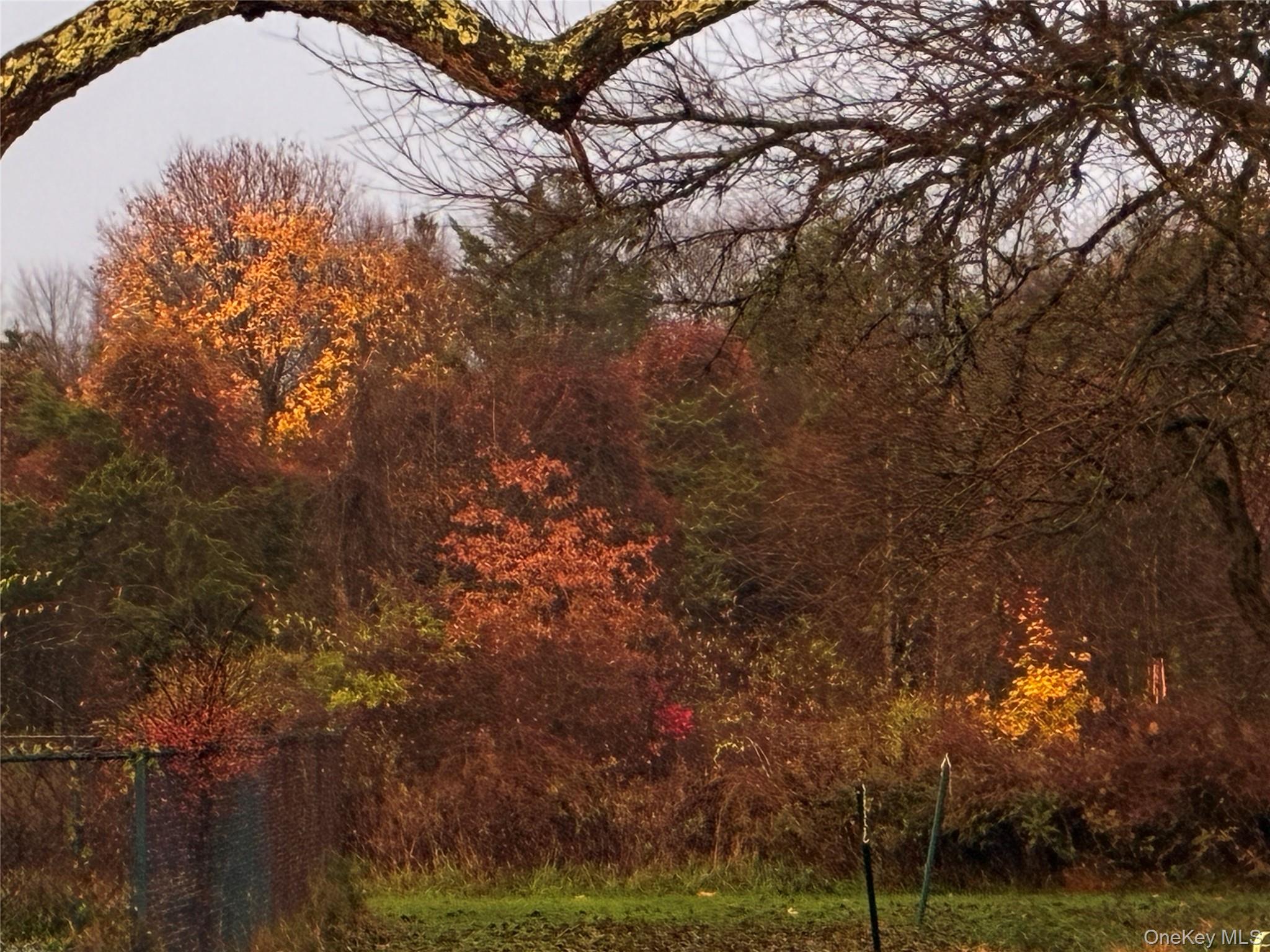 14 Harrigan Road Hopewell Junction, NY 12533 - Photo 39 of 45 a view of a yard