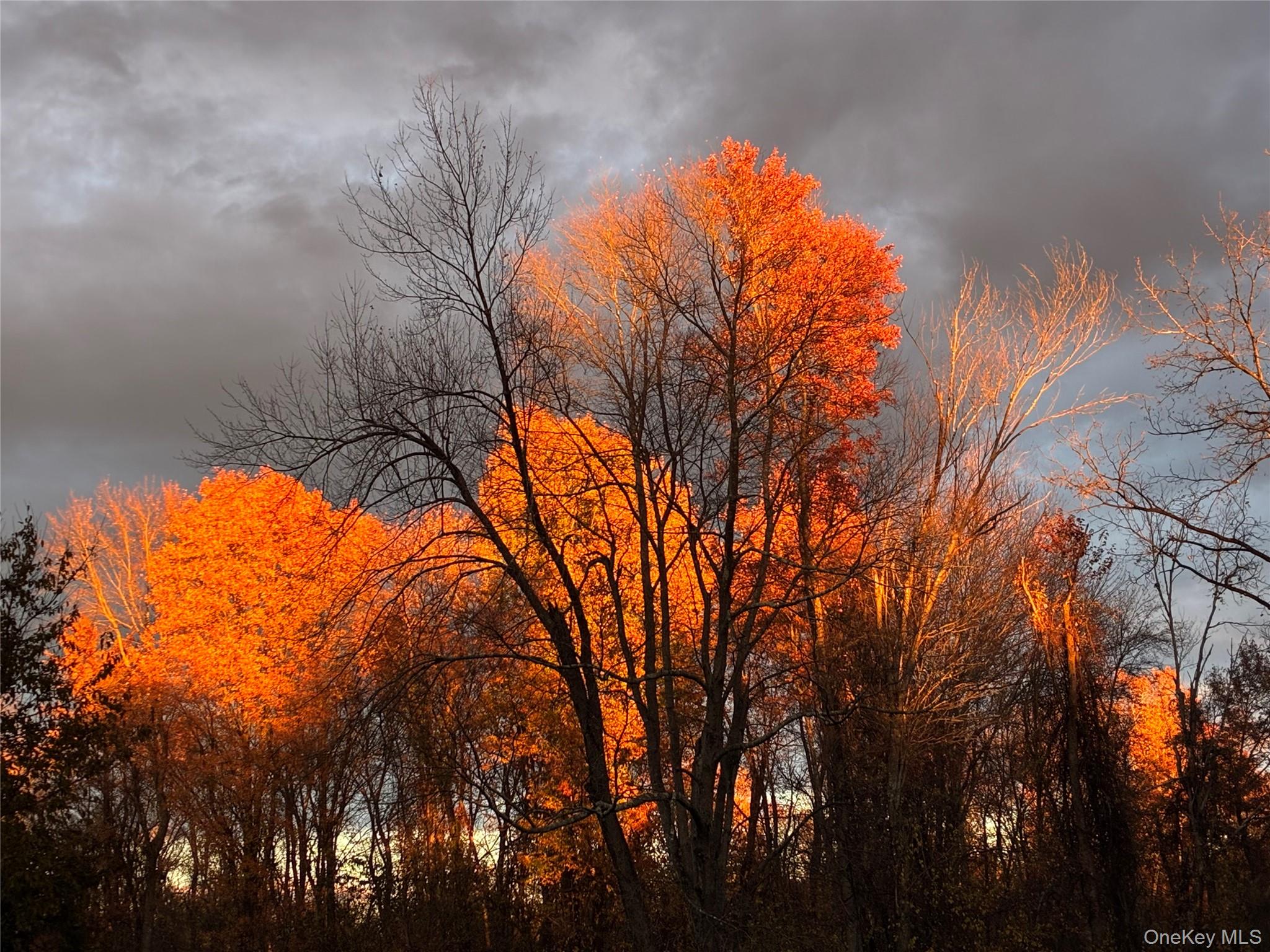 14 Harrigan Road Hopewell Junction, NY 12533 - Photo 40 of 45 a view of swimming pool with a yard