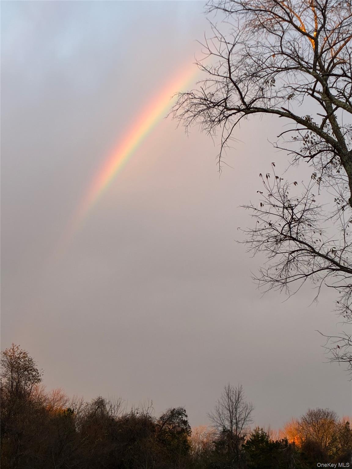 14 Harrigan Road Hopewell Junction, NY 12533 - Photo 41 of 45 a view of a snow on a beach