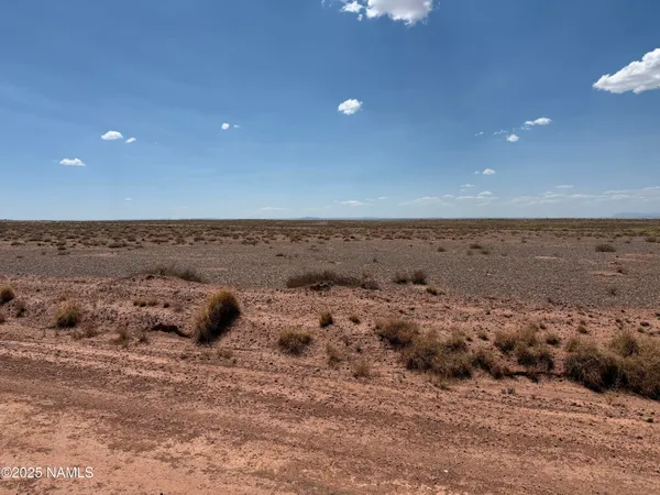 a view of a dry yard