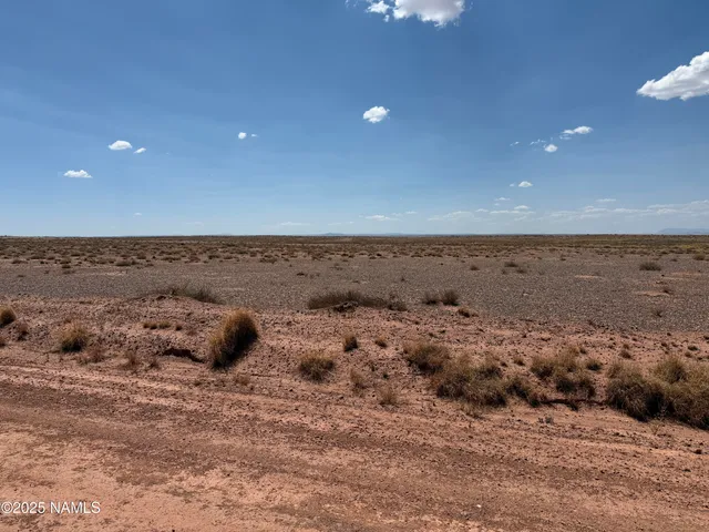 a view of a dry yard