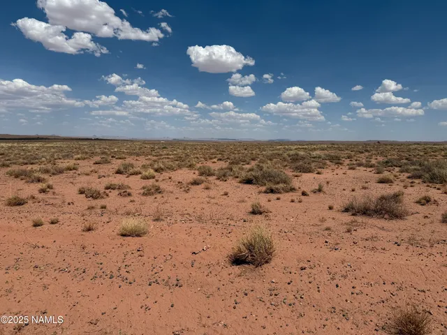 a view of a sky from the yard