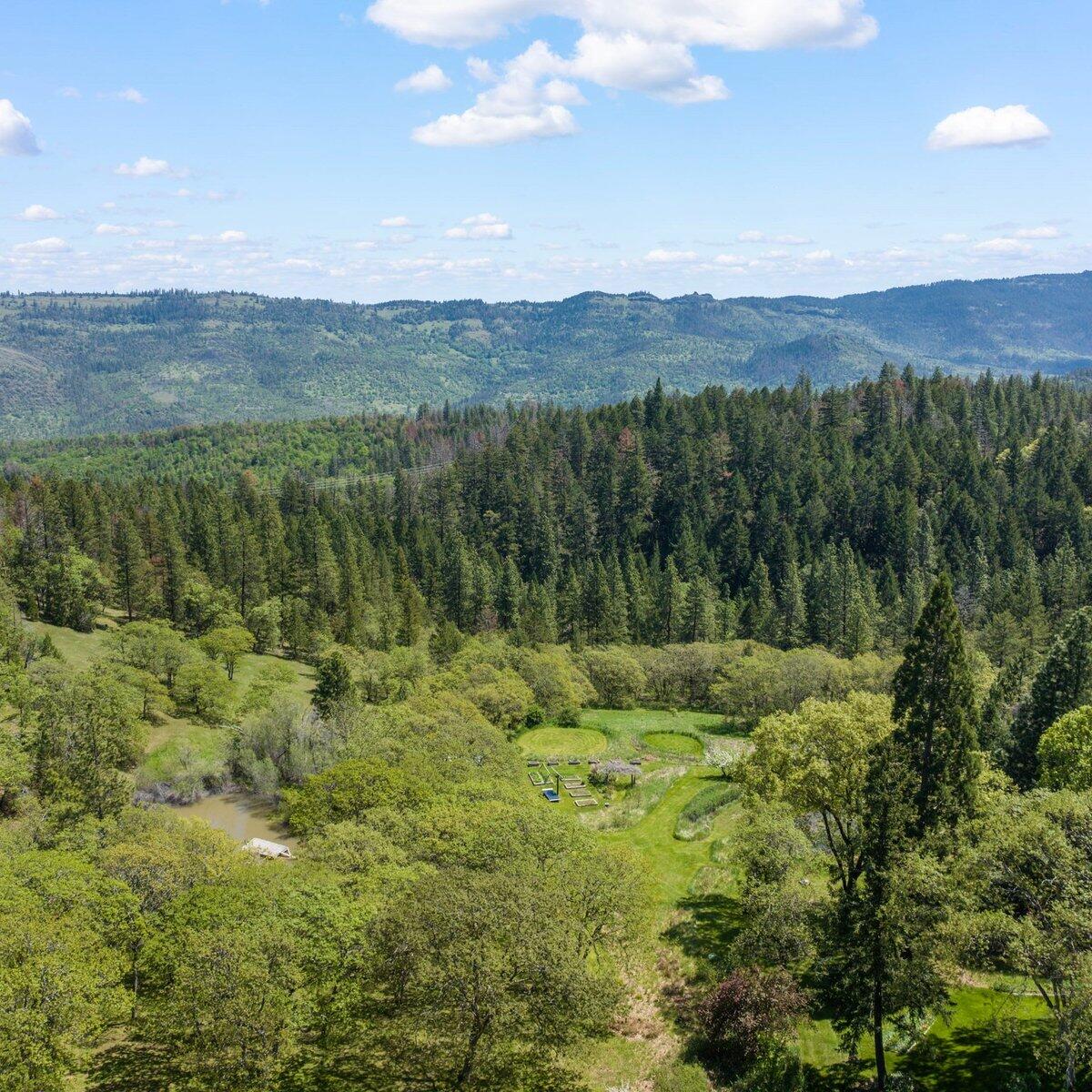 11750 Hillcrest Road Medford, OR 97504 - Photo 15 of 61 Forested in old growth