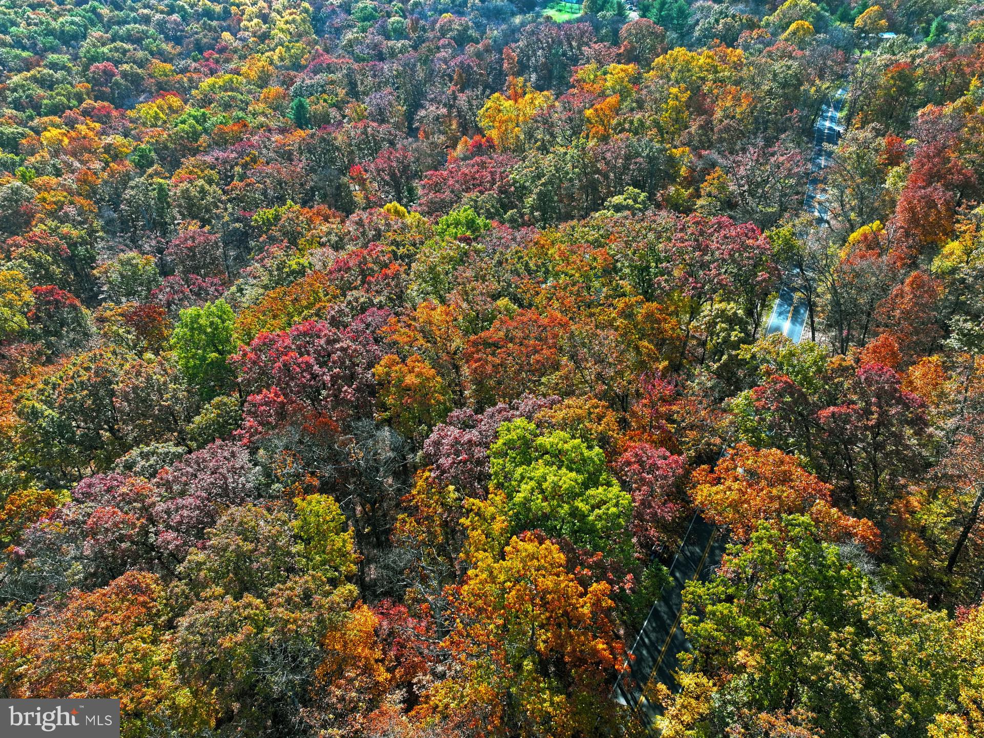 Trego Mountain Road Keedysville, MD 21756 - Photo 7 of 10