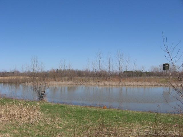 Vl Townsend Applegate, MI 48401 - Photo 1 of 31