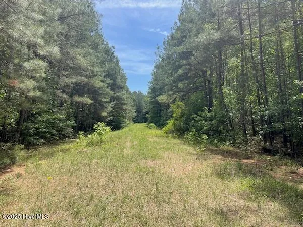 $375,000 | 62 Live Oak Drive, Clarkton, NC 28433